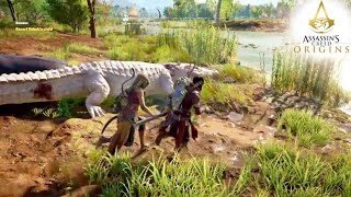 Biggest Crocodile in Assassins Creed Universe!!!