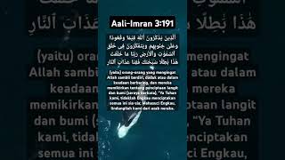 Aali-Imran 3:191