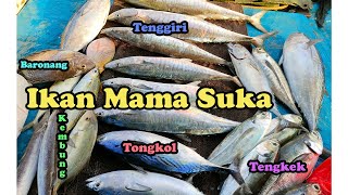 HASIL TRIP MANCING HARI INI, ANGIN TIMUR MELEHOY, TEMBANG GAK ADA, TENGGIRI MAKAN SPOON