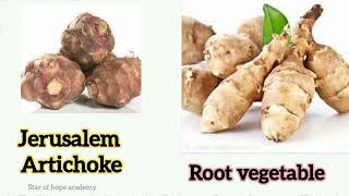 Popular Vegetables in The World | Learn Names of Different Types of Vegetables in English and Tamil