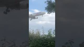 Turkish Airlines Airbus A330-300 [300th Aircraft Livery] landing at Heathrow #shorts #shortsreels