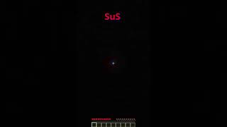 SuS... #among_us #SuS #minecraft #home