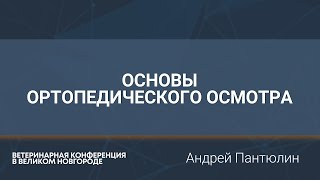 Основы ортопедического осмотра