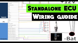 Wiring a Standalone ECU for beginners FROM SCRATCH | How to build a wiring harness