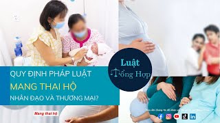 PHÁP LUẬT VỀ MANG THAI HỘ || Luattonghop.vn