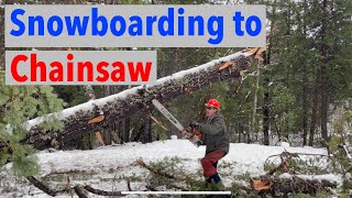 Snowboarding & Assessing Snow Damage Trees Down Everywhere