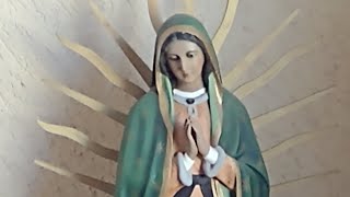 Santa Misa Visitación de María 31 5 2024