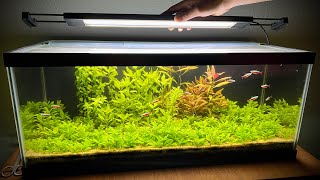 Fluval Plant 3.0 & Aquasky 2.0 - My Favorite Planted Aquarium Lights!