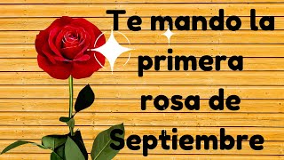 primera rosa de septiembre 2024 mensaje