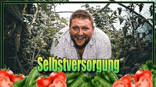 Selbstversorgung - Salat aus dem eigenen Garten