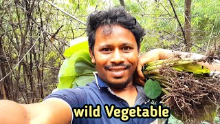 WILD TARO LEAVES EATING|Wild vegetables!Cooking And Eating/A vegetable rich in vitamins!