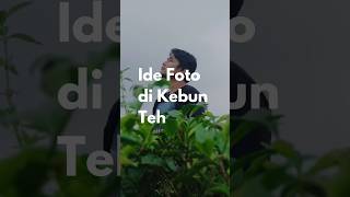 Ide foto di kebun teh #belajarngedit #editorberkelas #fotografi #editfoto #photography #tutorial