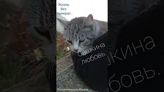 Жизнь без прикрас# Shorts#сашкина#любовь# 10.04.2023г.