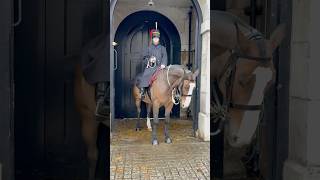 King’s Guard Horses! #london #royalhorseguard #horse #viralvideo #tourist #horseguard ##short