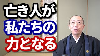 亡き人が、私たちの力となっている。　ショート法話(433)