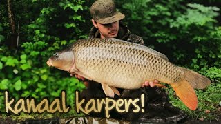 KANAALVISSEN OP KARPER | 20+ KG KARPER EN MEER! #50