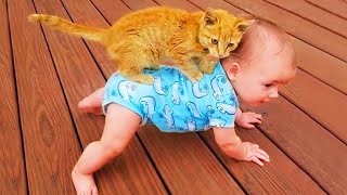 New Funny Animals😻🐶Best Funny Dogs and Cats Videos Of The Week🤣