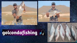 Nagarjuna sagar 0point, hooked a big cathna ,Telangana fishing 🎣, Hyderabad 🎣@golcondafishing3819