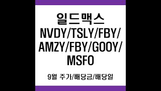 미국월배당ETF 일드맥스 NVDY/TSLY/APLY/AMZY/FBY/GOOY/MSFO 9월 배당금과 배당일, 주가정리