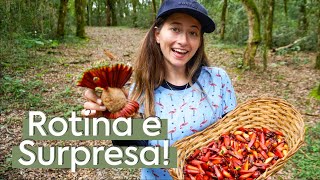 Rotina da CHÁCARA | 2 Projetinhos + SURPRESA