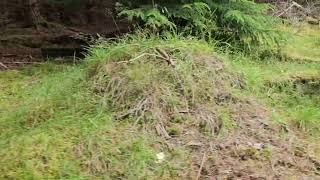 unknown building/shed remains in teindland forest