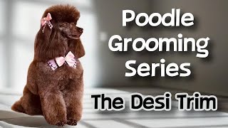 Poodle Grooming Series: The Desi Trim. Poodle Pattern trims.