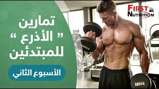 تمارين الأذرع للمبتدئين _ الاسبوع الثاني