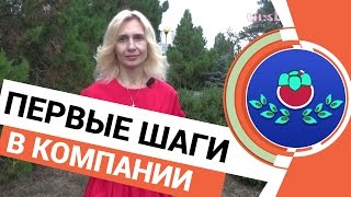 💲🍅 Первые шаги в компании Ксанго