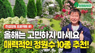 봄맞이 매력적인 정원수 10종 추천!  올해는 고민하지 마세요 정원꾸미기 딱! 정리해 드립니다(택배주문가능)