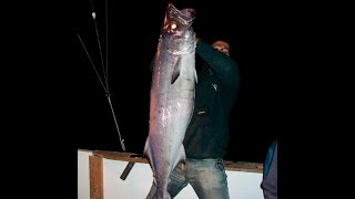 Pesca Nocturna Isla de Lobos