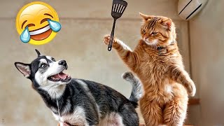 🤣 Funny Dog And Cat Videos 😹😍 Funny Animal Moments 😹🐶