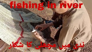 Cast net fishing in village river! fishing video