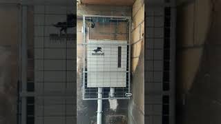 Instalación del comedero dentro del box