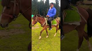 Tu Na ja Mere Baadshah|| Khudagawah|| #shorts #trending #kashmir #pahalgam #mountains #shortvideo