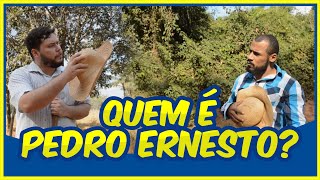 Quem é Pedro Ernesto?