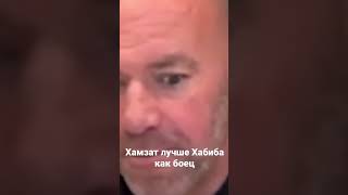 Чимаев превосходит Хабиба во всех аспектах. Дана Вайт.