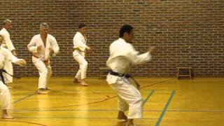 Yamaguchi-sensei demonstrates gedan-barai gyaku-zuki to the side