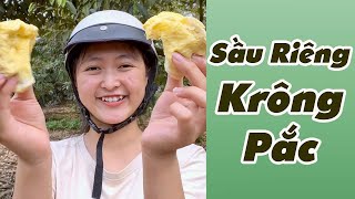 Sầu Riêng Krông Pắc Nhà Trang Ở Đắk Lắk #shorts