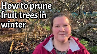 How to prune fruit trees like apple and pears in winter - easy 4 point strategy #allotment