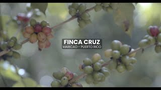 03 Finca Cruz | Maricao, PR - Integration of practices and available resources