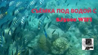 Съемка под водой с SJ5000 WIFI SJCAM | Тест экшн камеры под водой