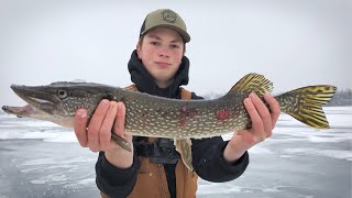 Tip-Up FISHING for GIANT PIKE