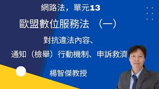 網路法，單元13：歐盟數位服務法（一）：對抗違法內容、通知（檢舉）行動機制、申訴救濟