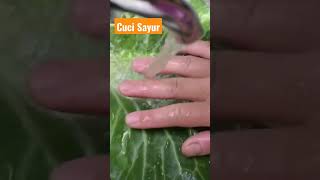 Cuci Sayur Kubis hingga bersih #sayur @semangatbelajar123