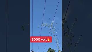 6000 volt power 😱 #ytshorts #uas #usa