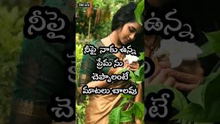 Telugu love quotations/emotional quotes/quotes#shorts #youtubeshorts #telugu #love