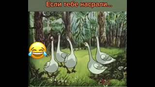 Если тебе насрали #shorts #мемы #приколы #shortvideo #мультики #fyp #ржака #озвучка #short