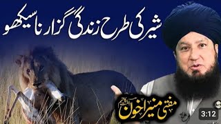 sher 🐅 ki tarha zindagi guzaro l muslman sher hota hai by Mufti muneer Muhammad kahoon