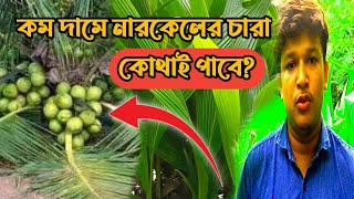 পাইকারি দ্মা ভালো জাতের নারকেলের চারা নিতে পারবেন 🔴দাম কত কিভাবে নিবে বিস্তারিত