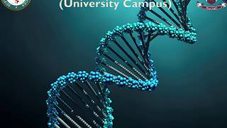 General and Molecular Genetics, MSc II, Lecture # 4